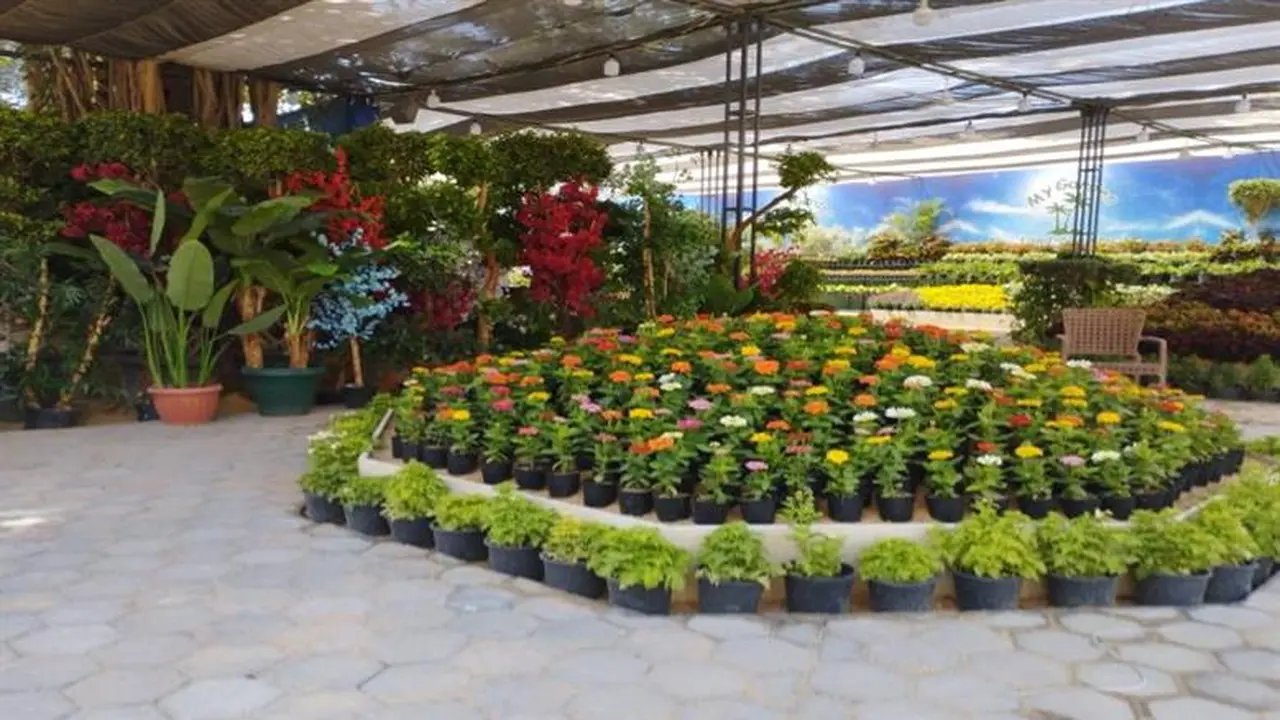 «لكل لون معنى ومغنى».. دليلك الشامل لزيارة معرض زهور الربيع 2026 في الدقي